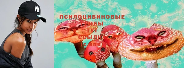 дурь Балахна