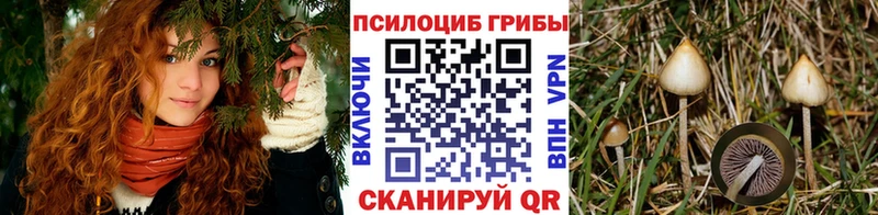 ссылка на мегу ССЫЛКА Петровск Псилоцибиновые грибы ЛСД дарнет шоп
